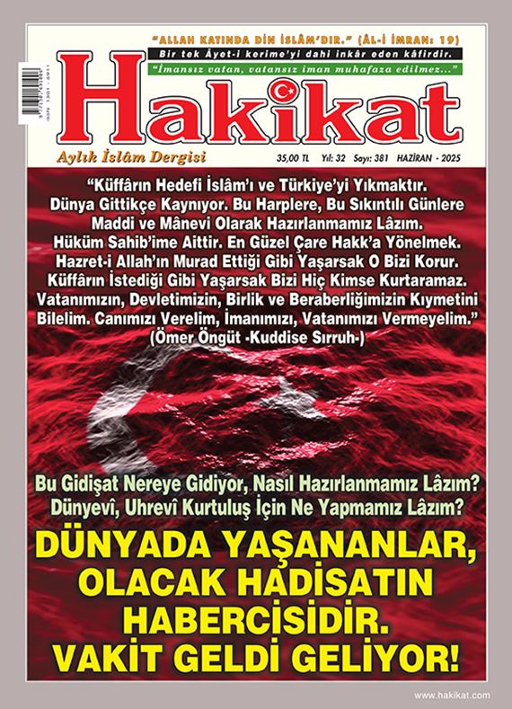 381. Sayı
